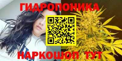 твердый Лесной