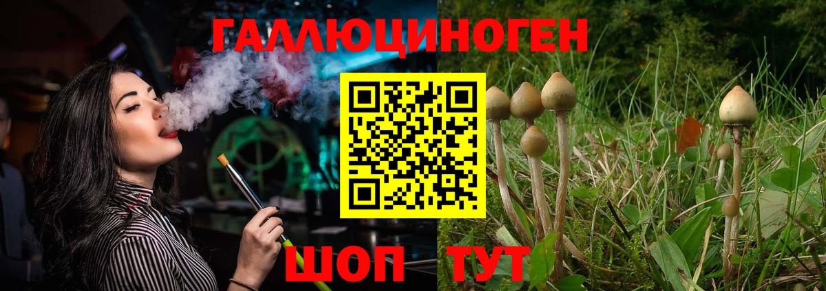 Псилоцибиновые грибы Cubensis Кызыл